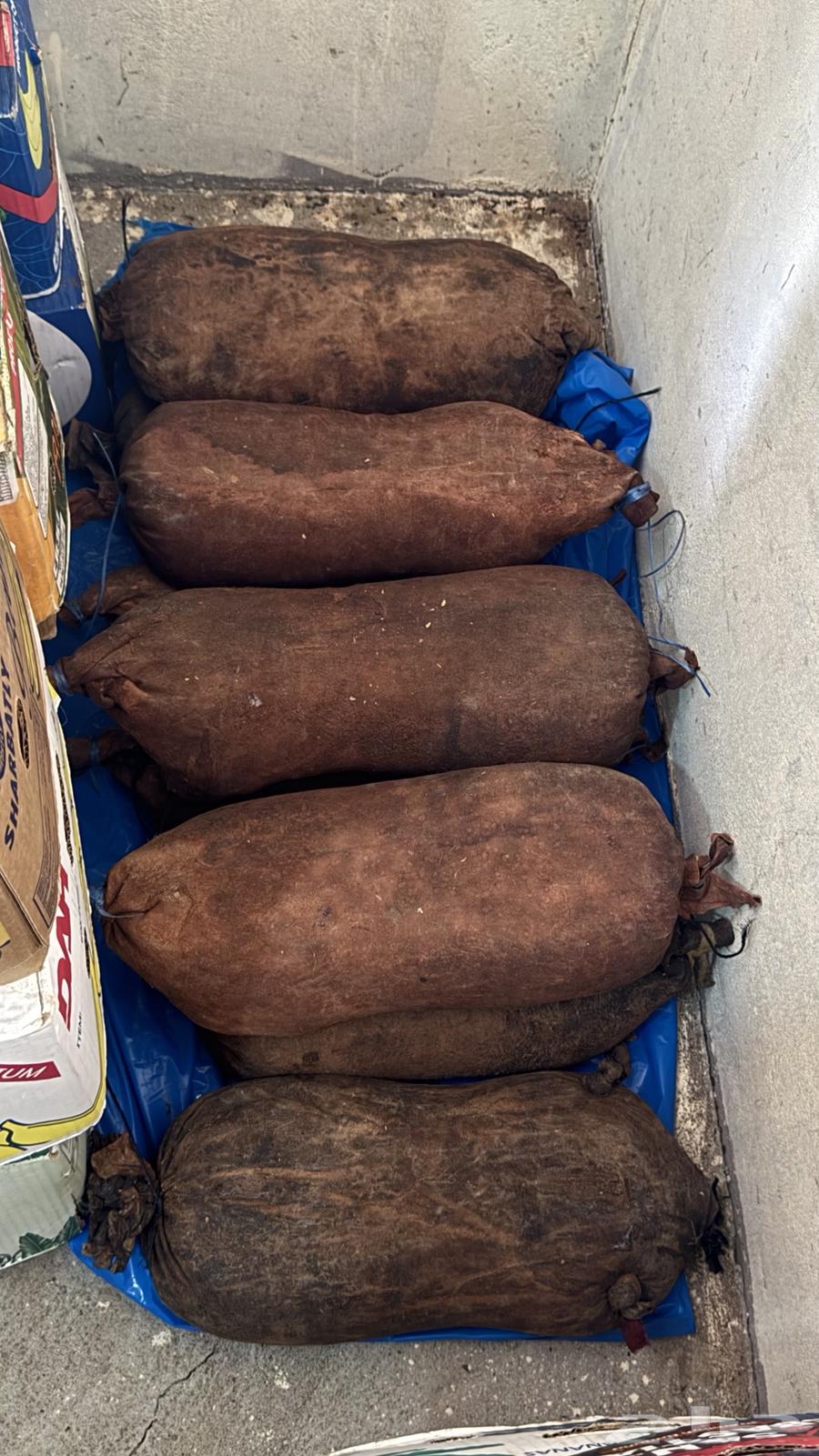 تمر صفري بيشه فاخر64414553776642113