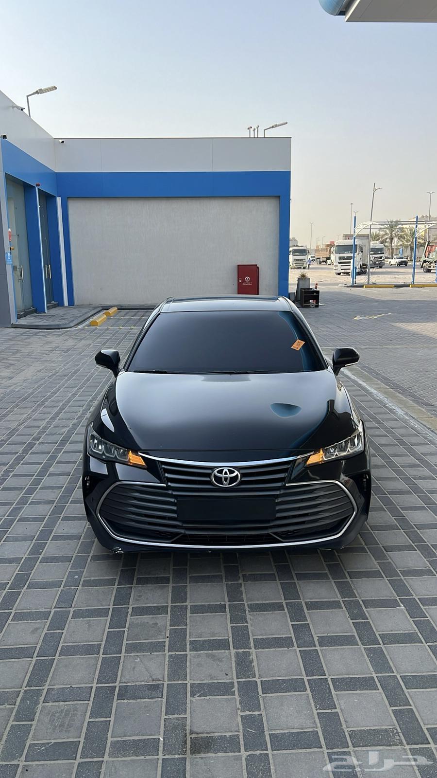 Avalon 2164569657574913110