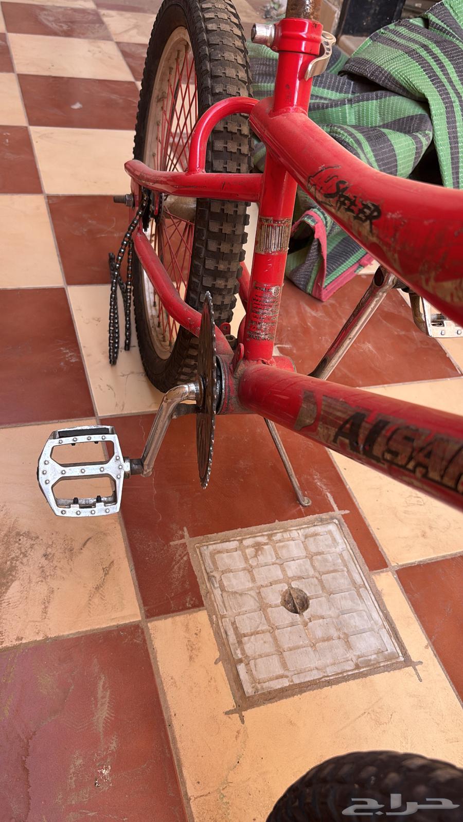 للبيع كوبرا احمر مقاس 20 او 1864422300259586112