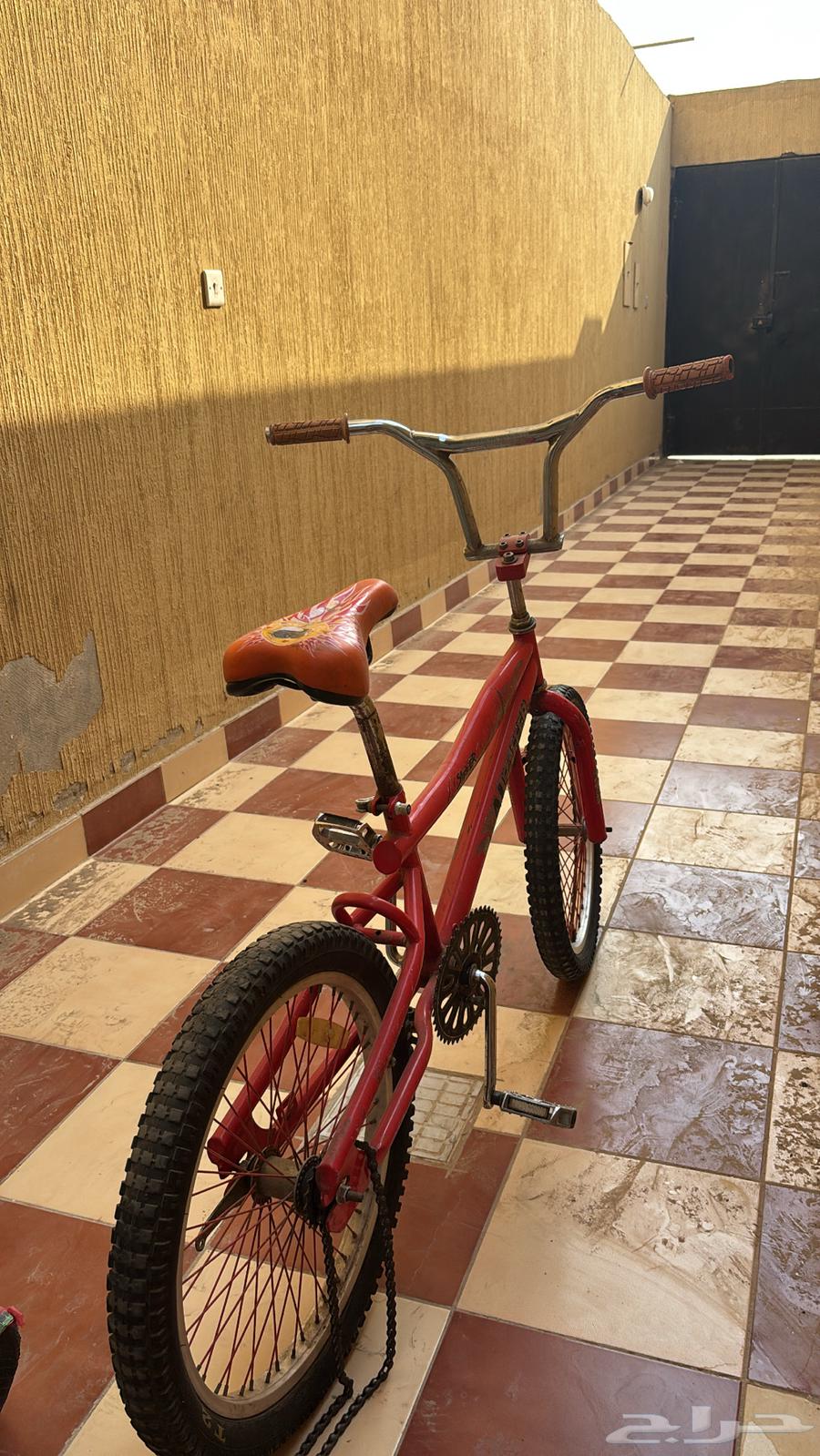 للبيع كوبرا احمر مقاس 20 او 1864422300259586113