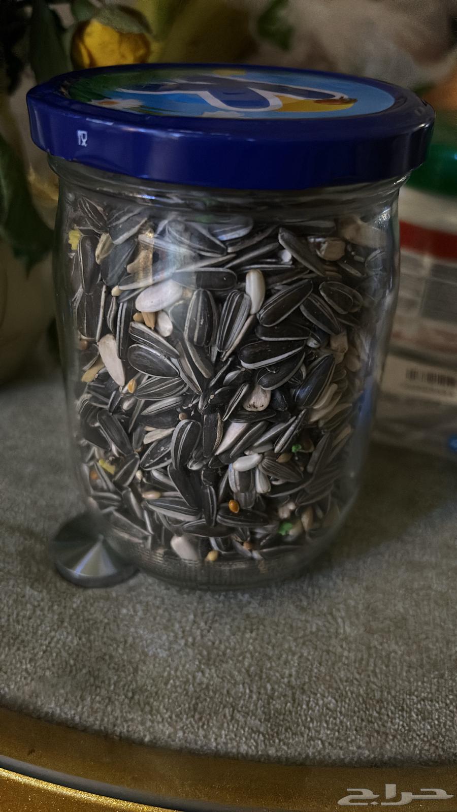 زوج من الروز للبيع64414819738883114