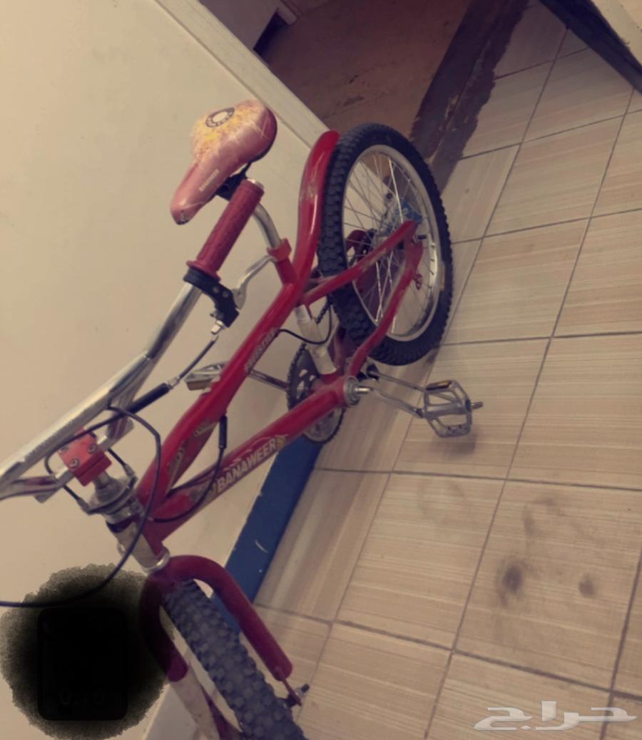 دراجة كوبرا مقاس20 السعر 25064418918077186112