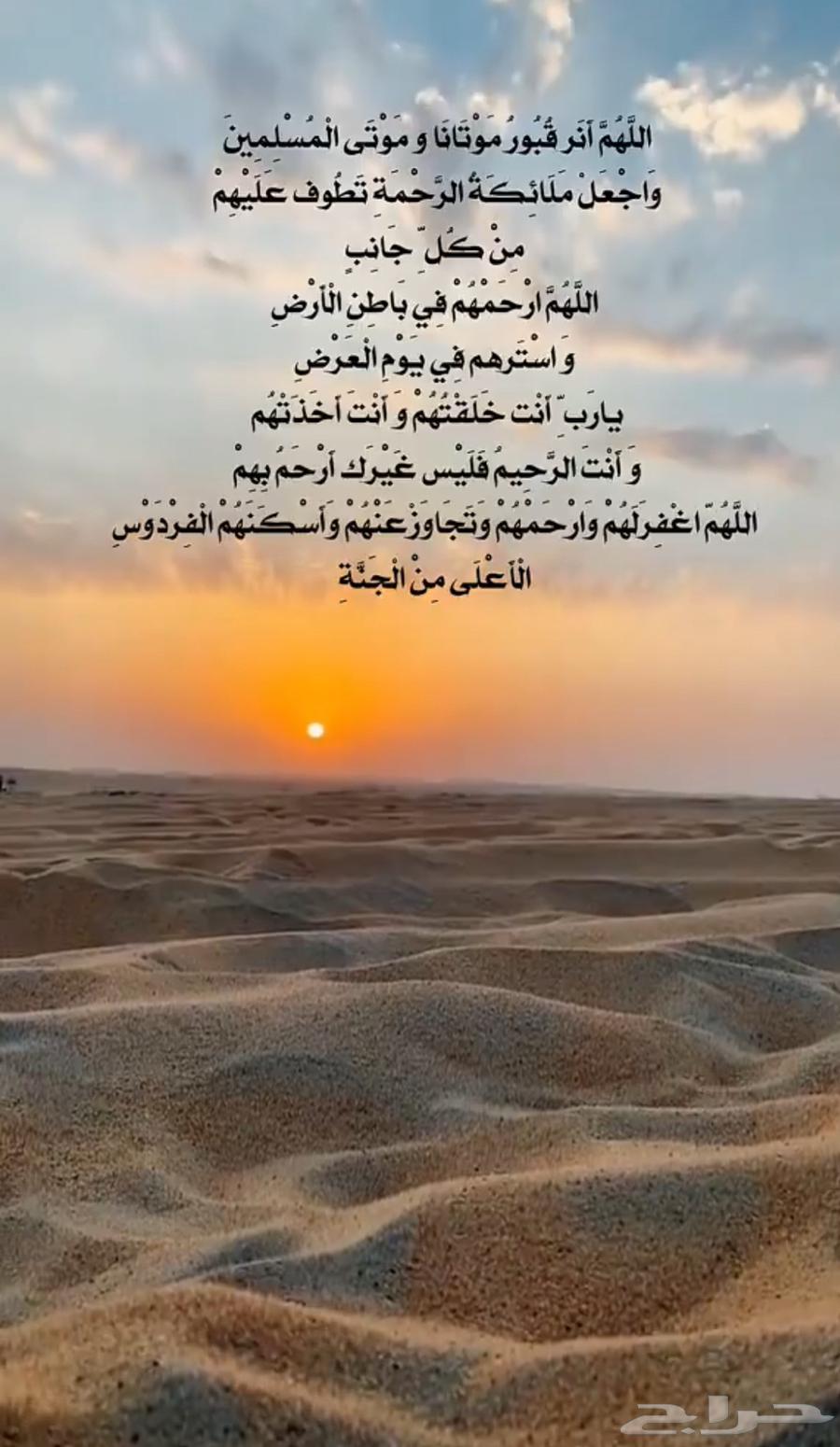 Delivery trips within Tabuk64142125543427110