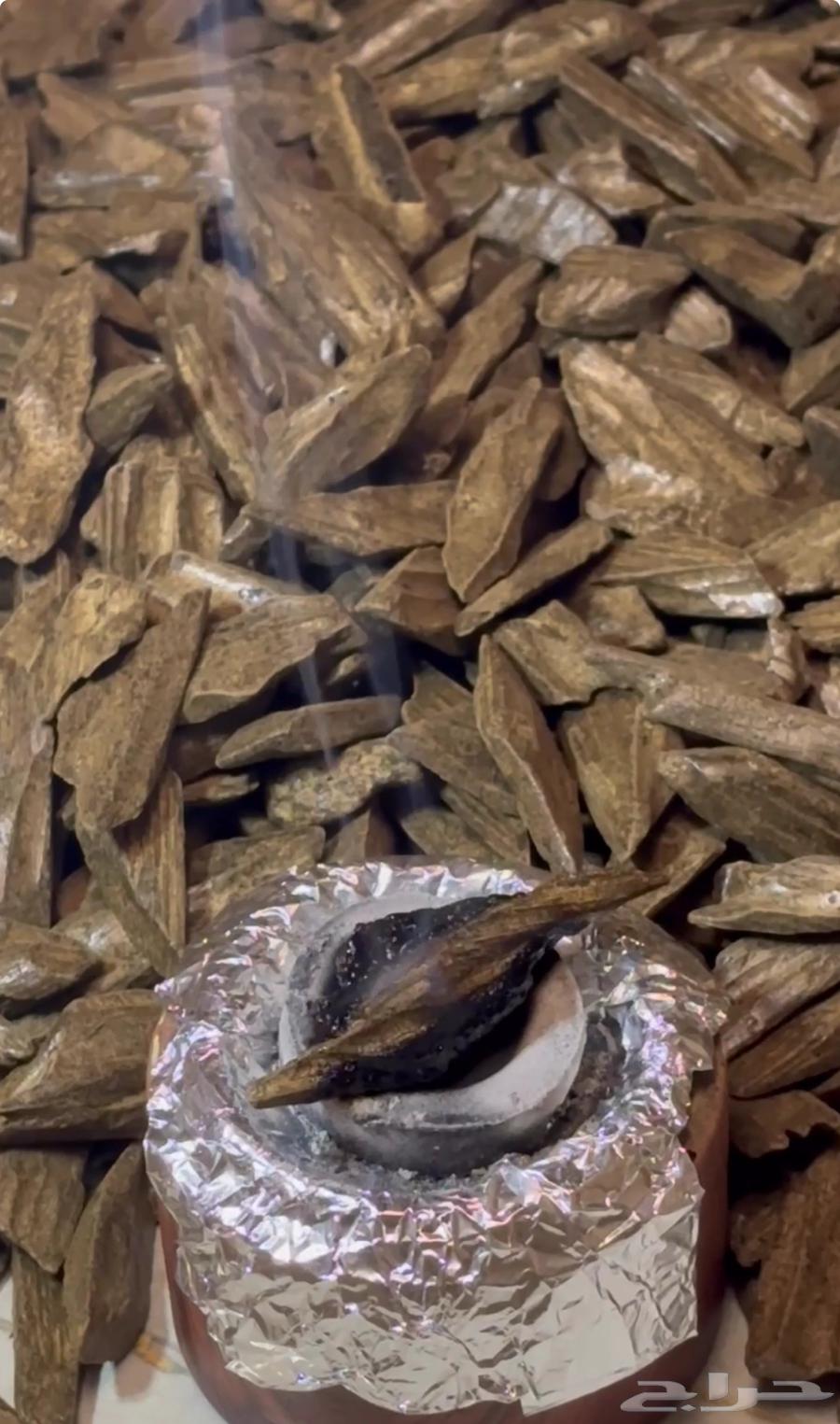 عود تايقر كلمنتان بخور - فواح وثابت 59 فقط64418998556675111