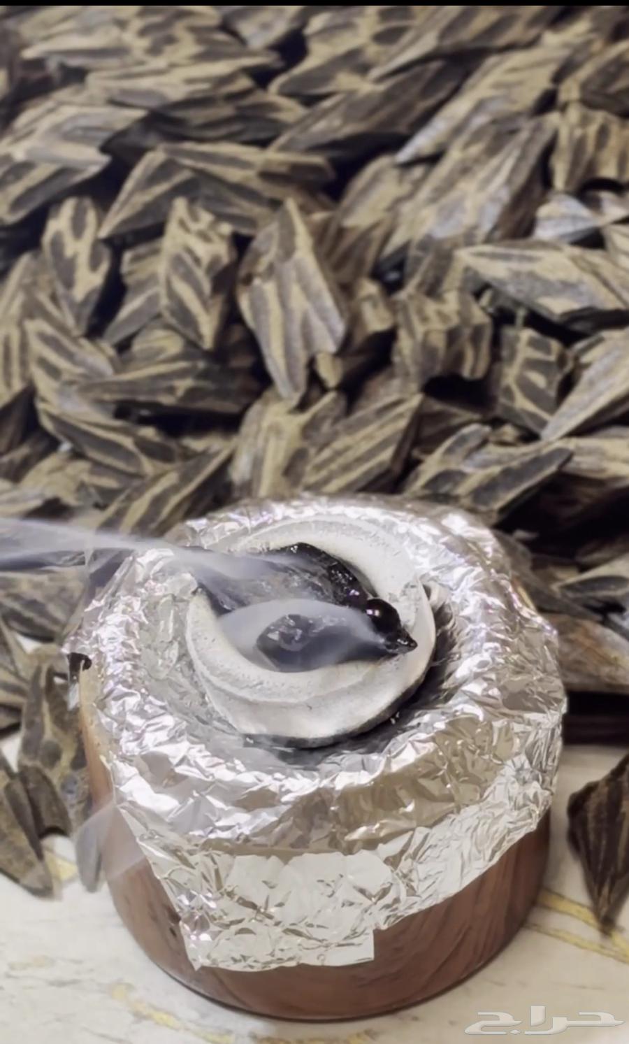 تايجر - كلمنتان دقه - توصيل مجانا64418730415747111