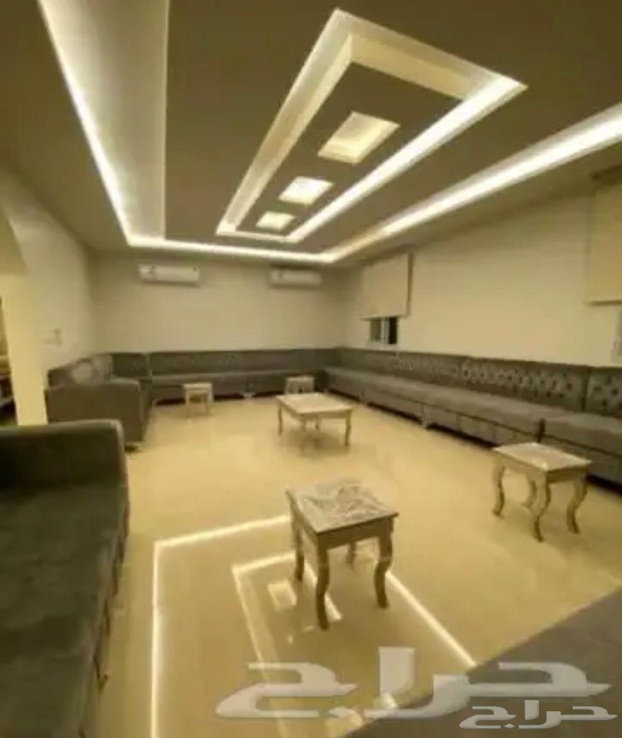 Alfira Lounge for daily, monthly, and annual rental64141830205186112