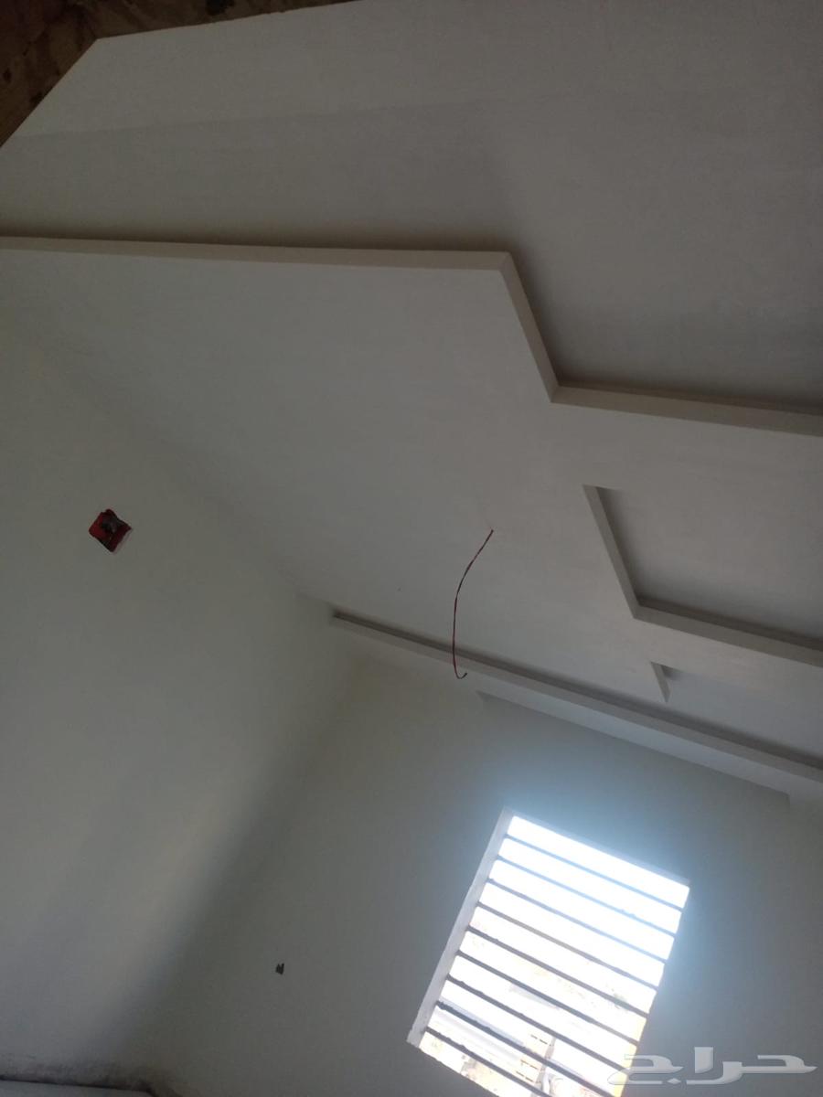 دي ور جبس64175388398338113