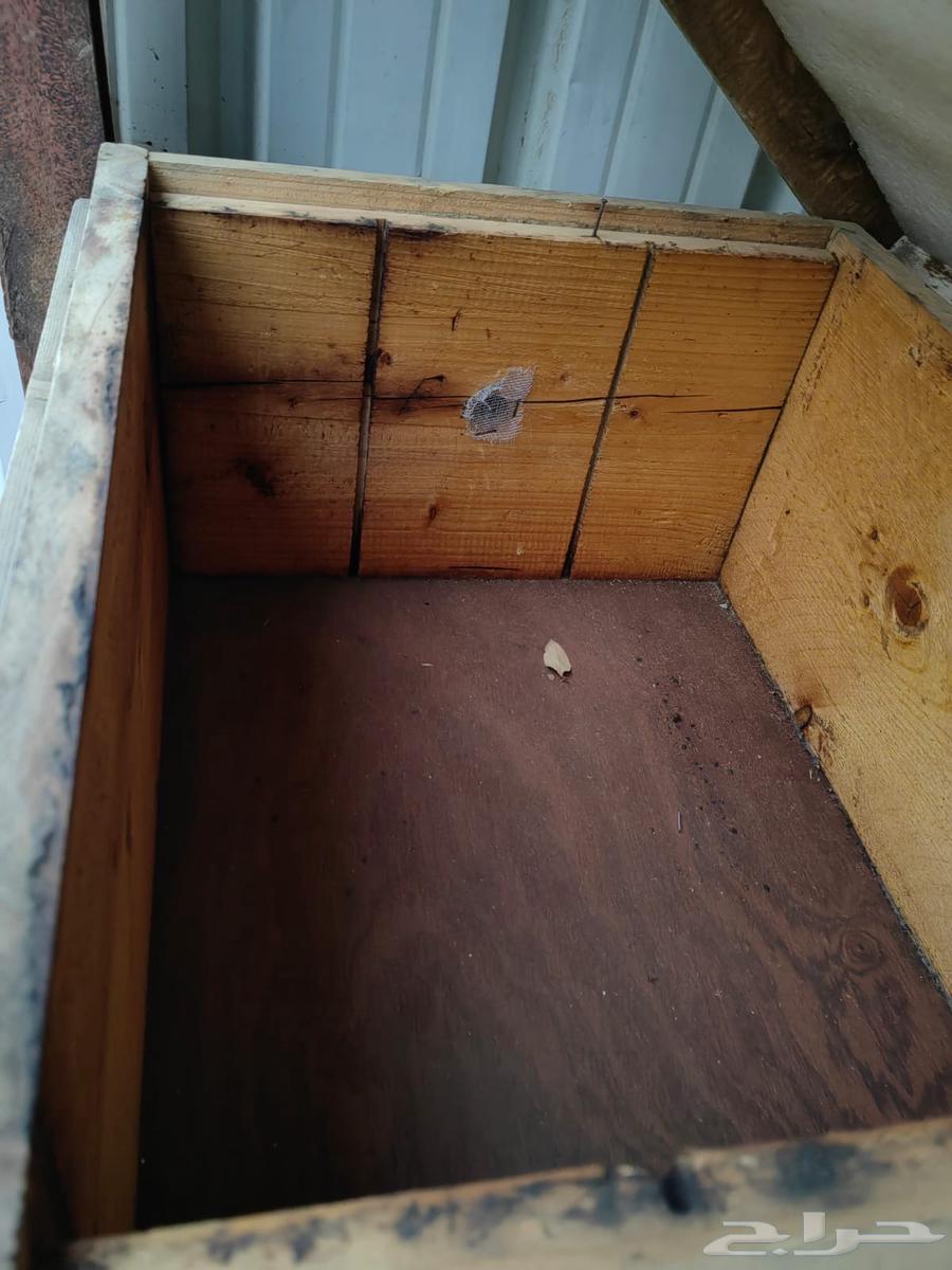 Modern Frangi hives, 10 clean empty frames for sale64418120037122111