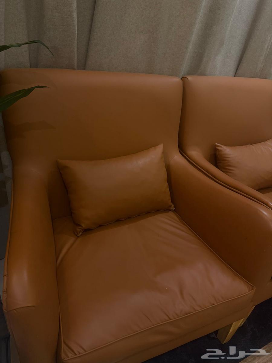 كراسي كنب جلد فردي عدد 264417332961026112