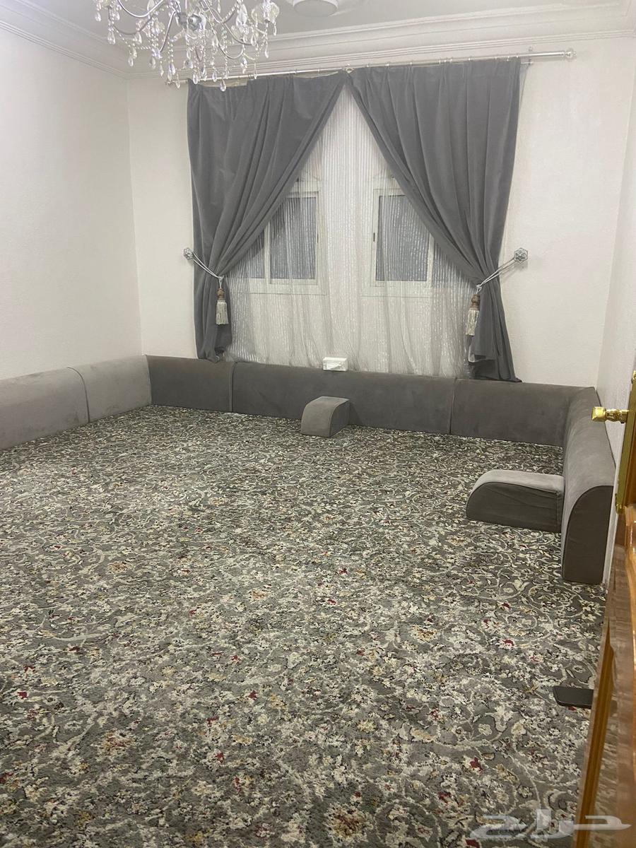 مقلط للبيع64412278876931112