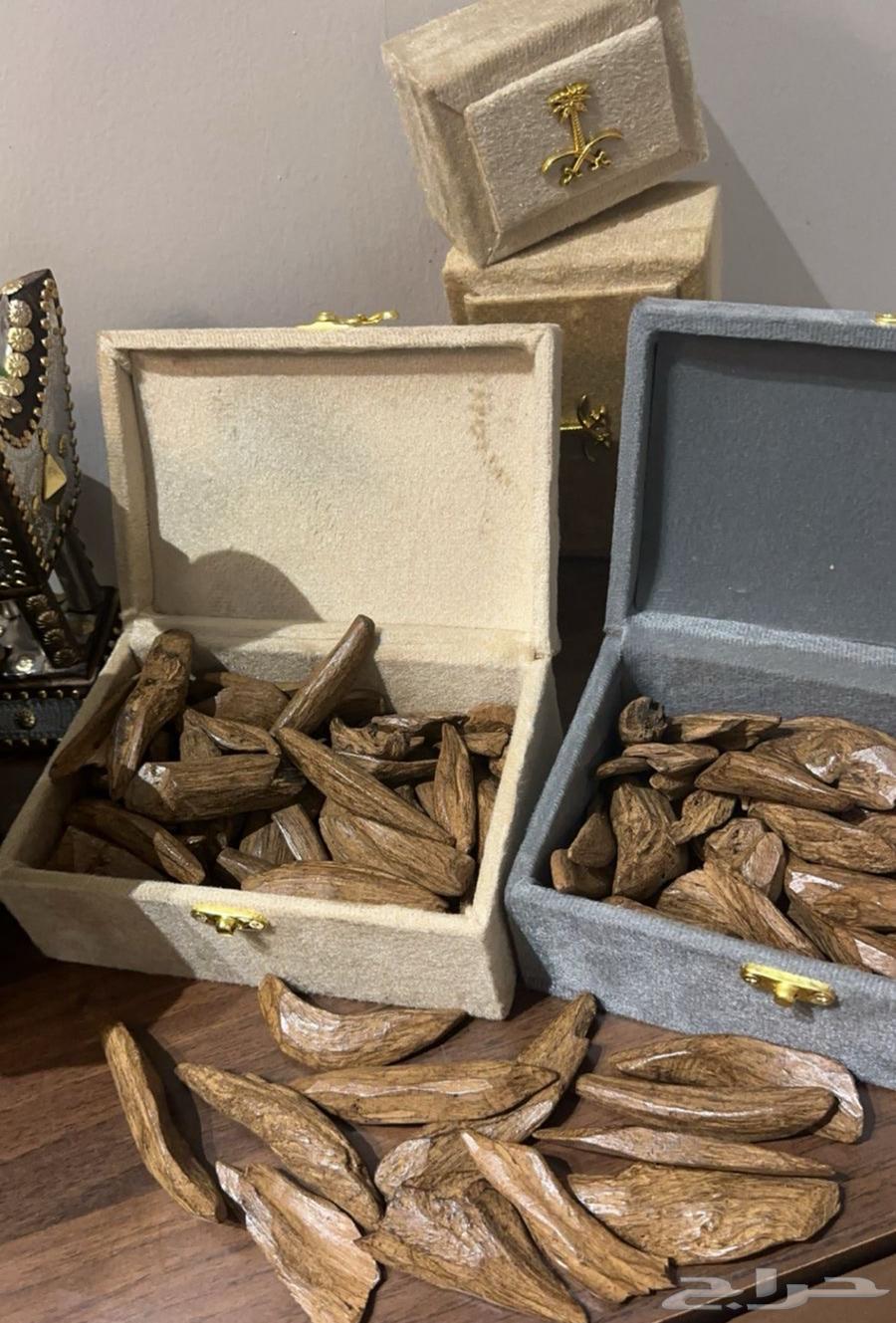 عود طبيعي64416623794178113