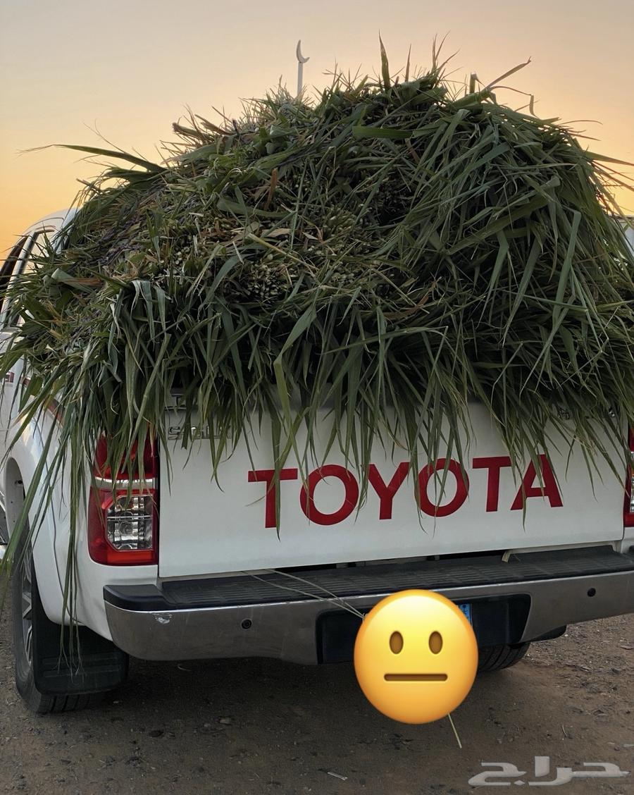 اعلاف وشتلات بونيكام اسباني سوبرموباسا64416848987523110