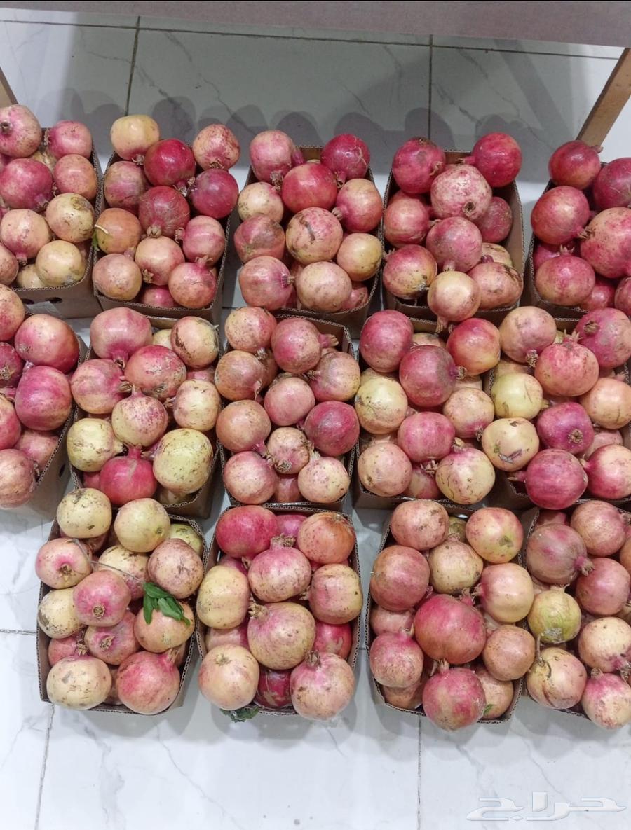 رمان بيده متوفر64415733313410114