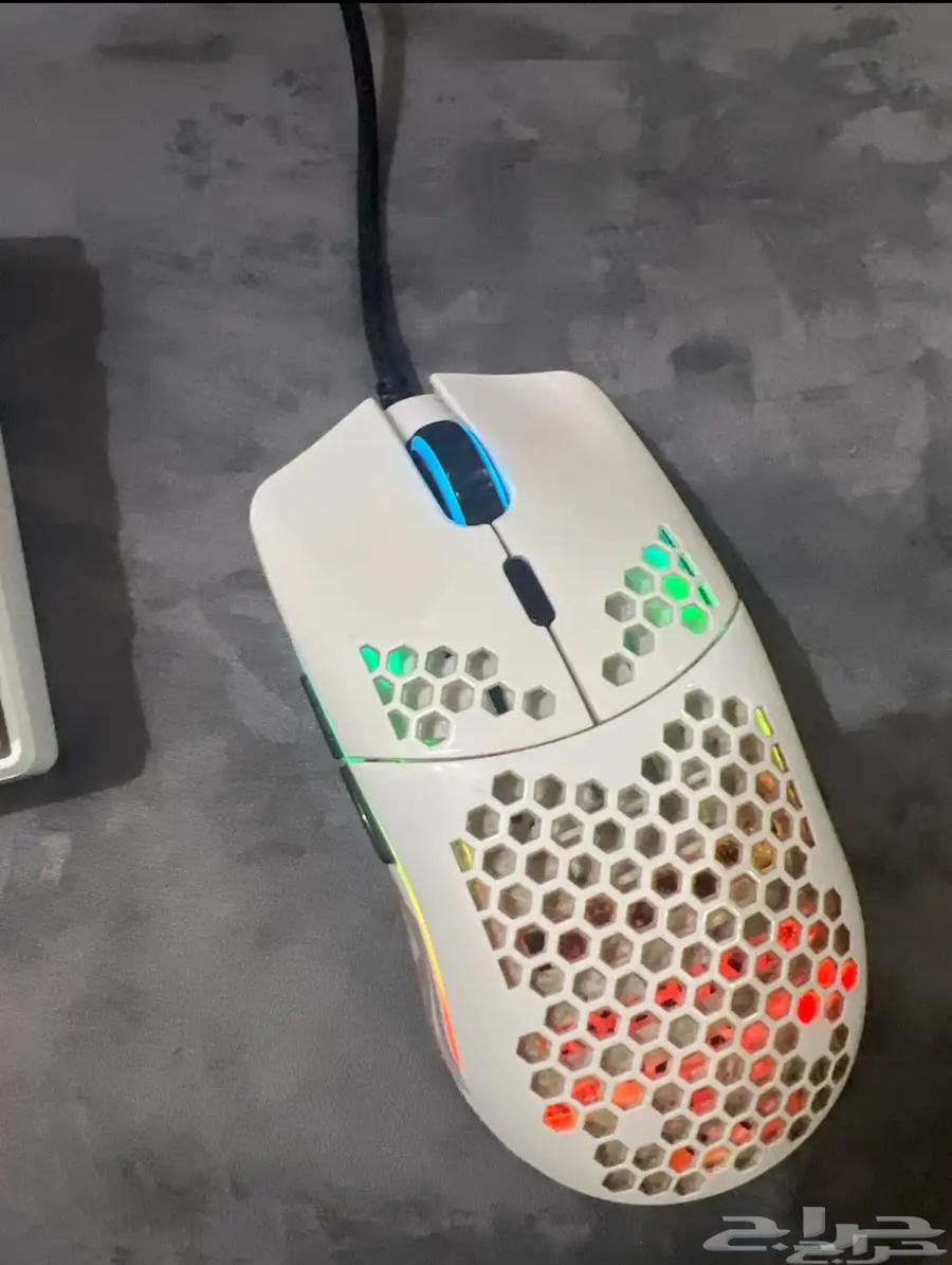 ملوس قلوريس64418025831426111