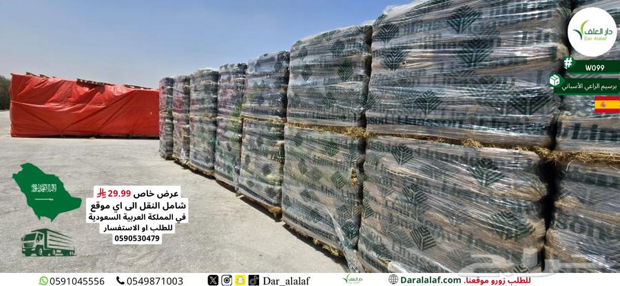 عرض برسيم الراعي الاسباني64417998892291113