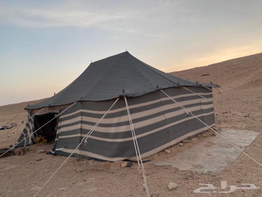 خيمه للبيع64413366286979111