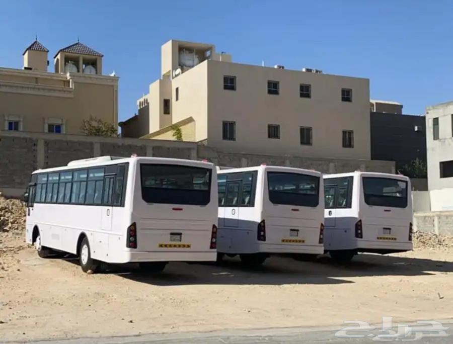 رينت باص64412319782401110