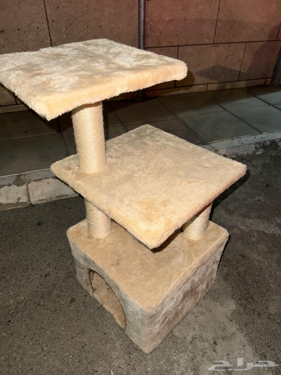 للبيع بيت بسس64418824465027110