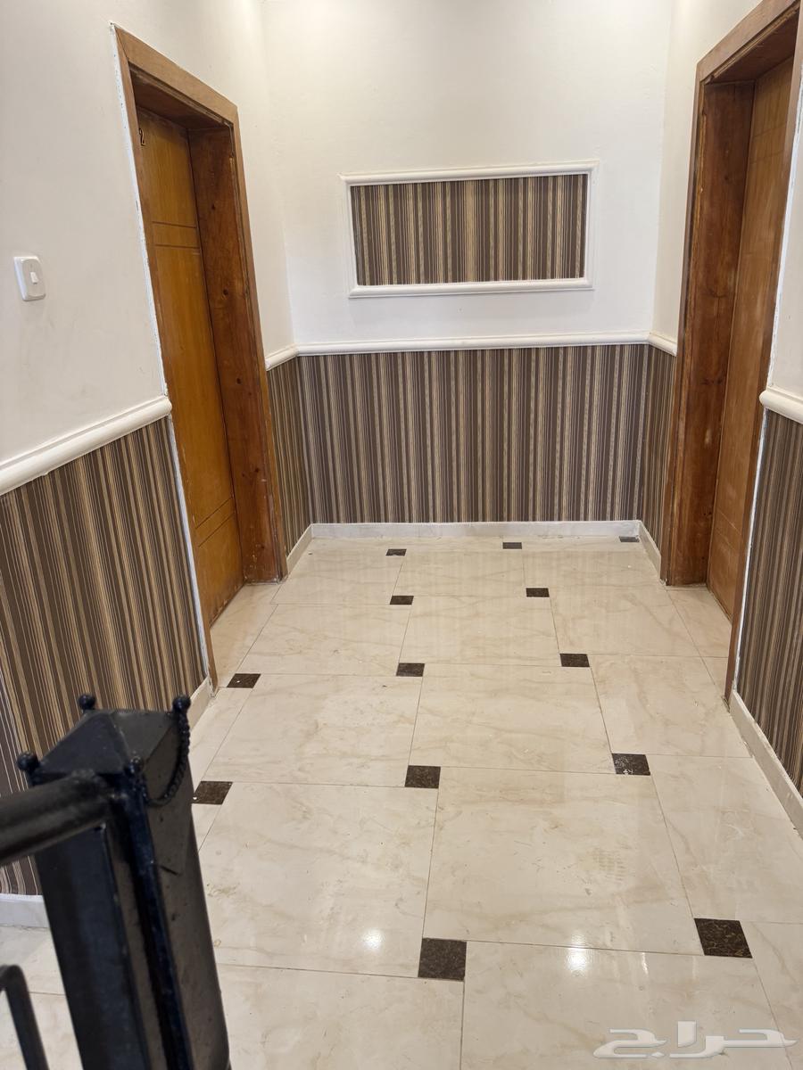 Furnished and unfurnished apartments for rent in Bisha64141831338114113