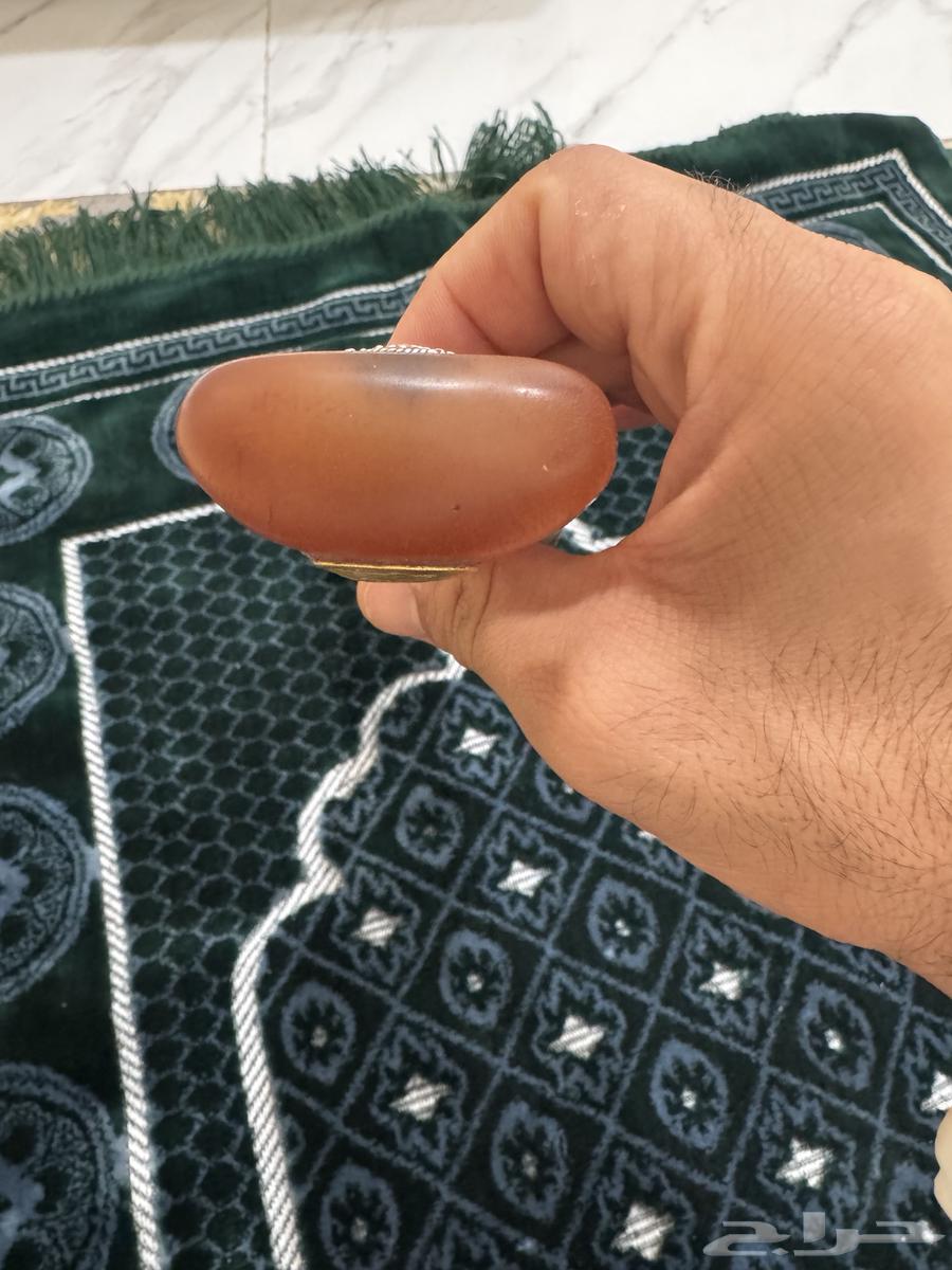 جنبيه زراف64413057521155113