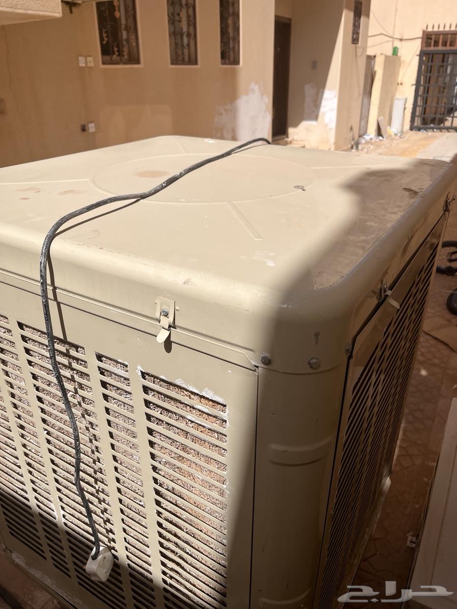 صحراوي64416743341313114