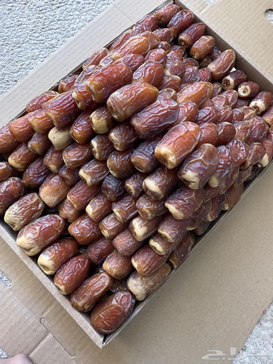 صقعي ملكي فاخر64413599629058114