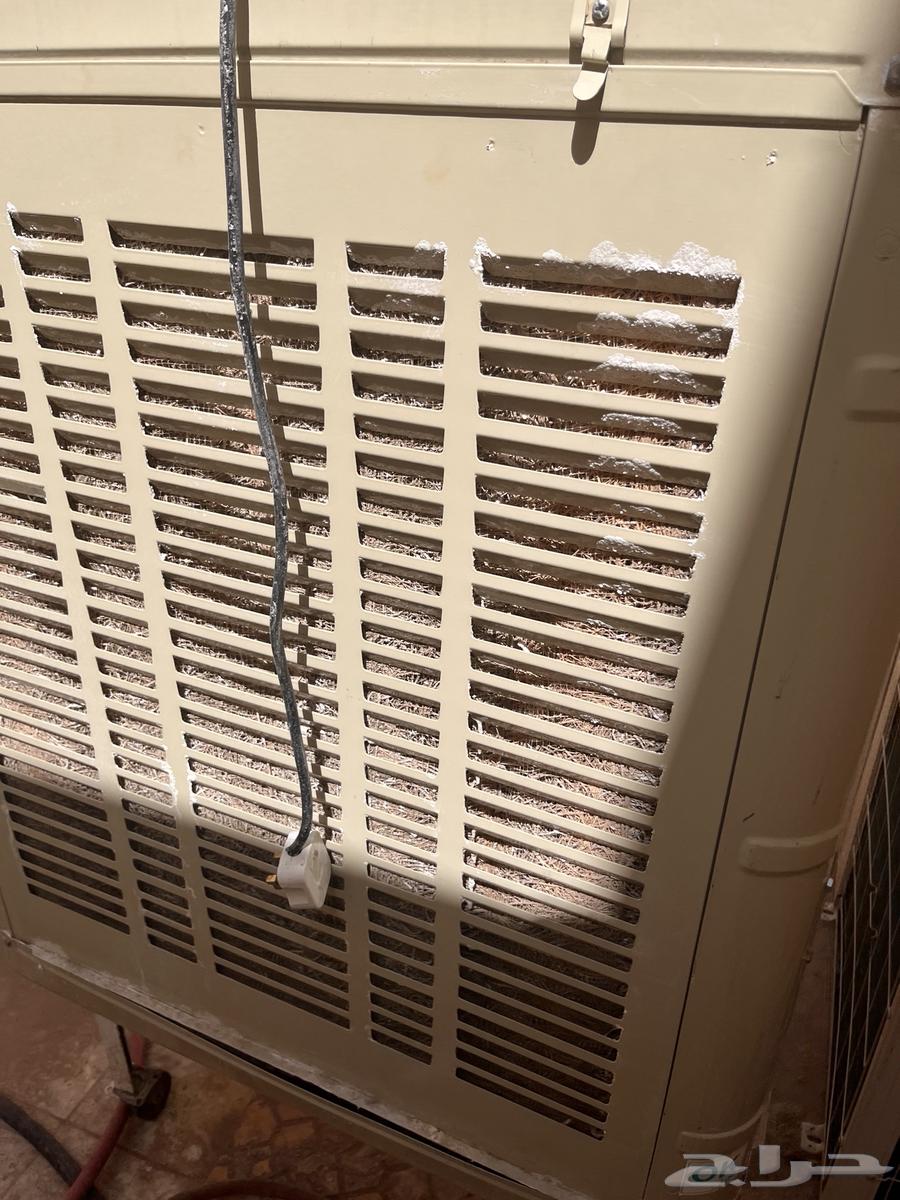 صحراوي64416743341313113