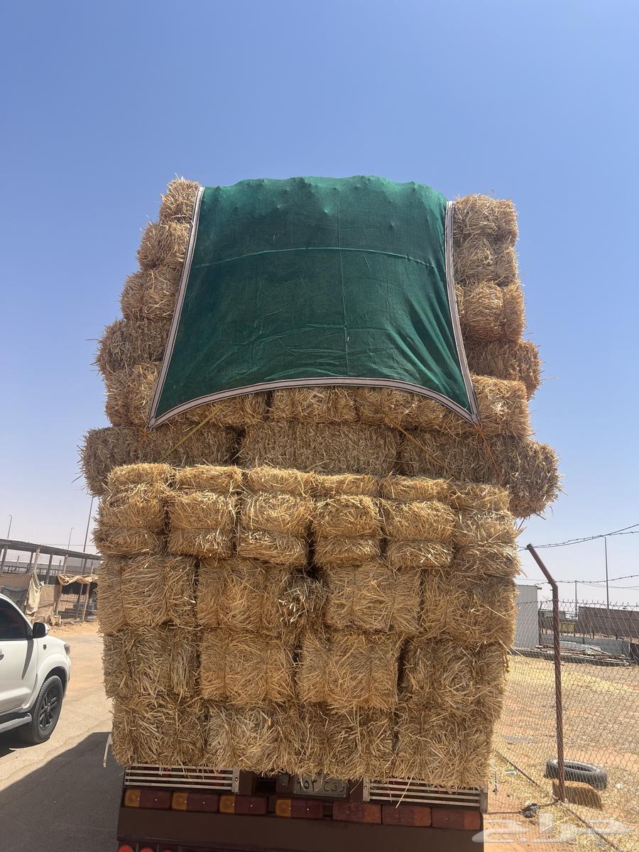 تبن بر64414368987523111