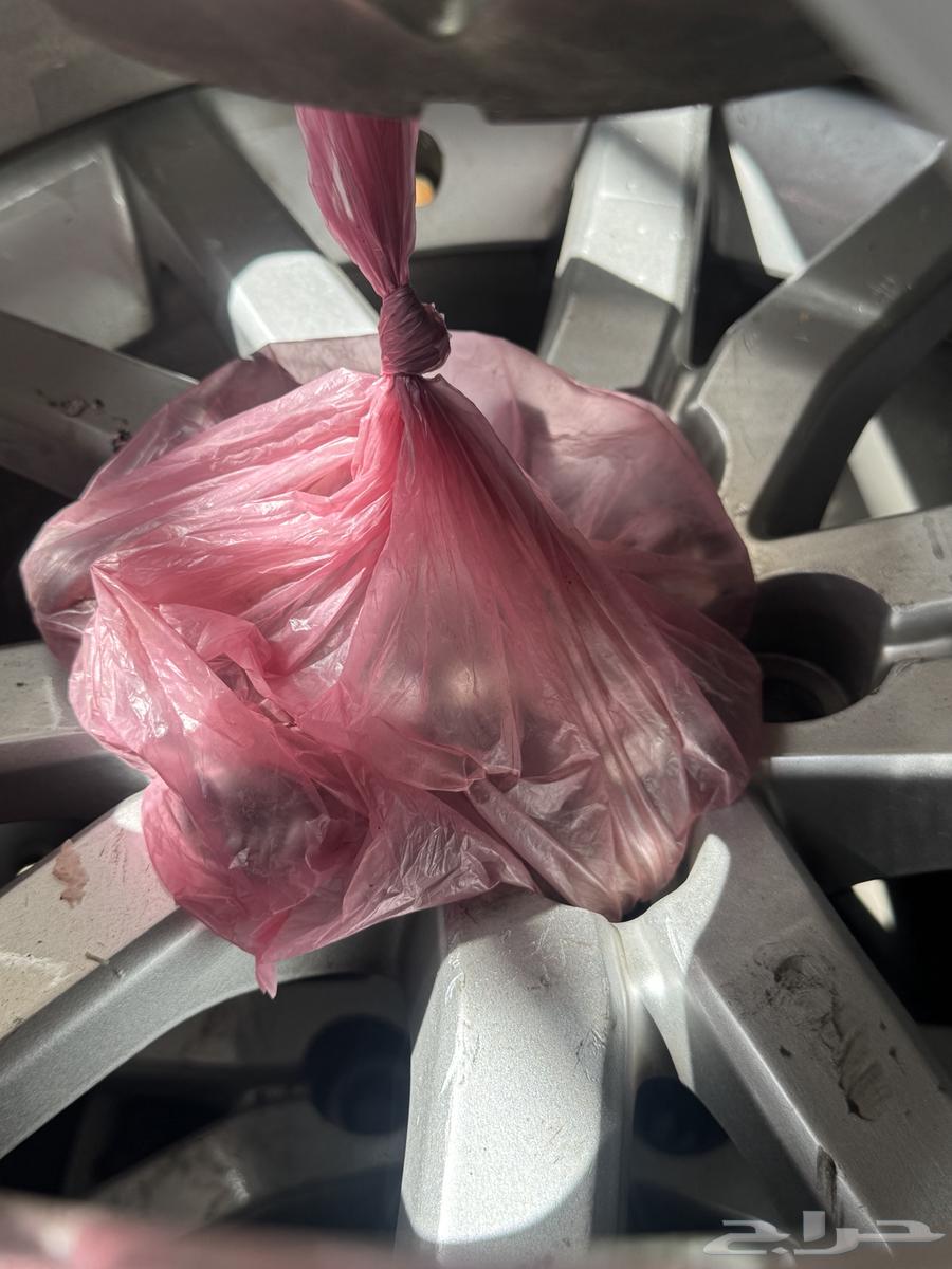 جنوط كابرس اصلي 201664573263216770112