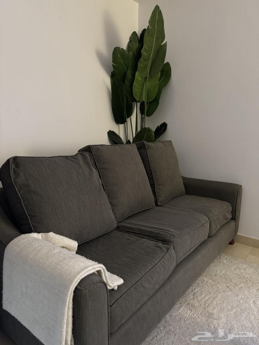 كنب ميداس مستعمل للبيع64412949943427110