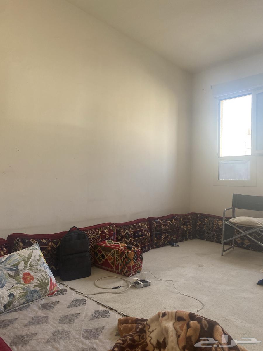 جلسه ارضيه مع الفرشه تكفي مجلسه4في564415841408001111