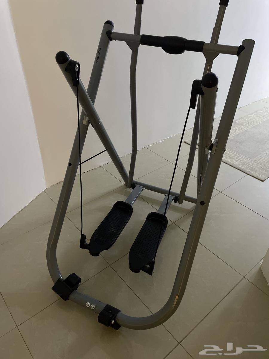 الغزال الطائر64416623842562110