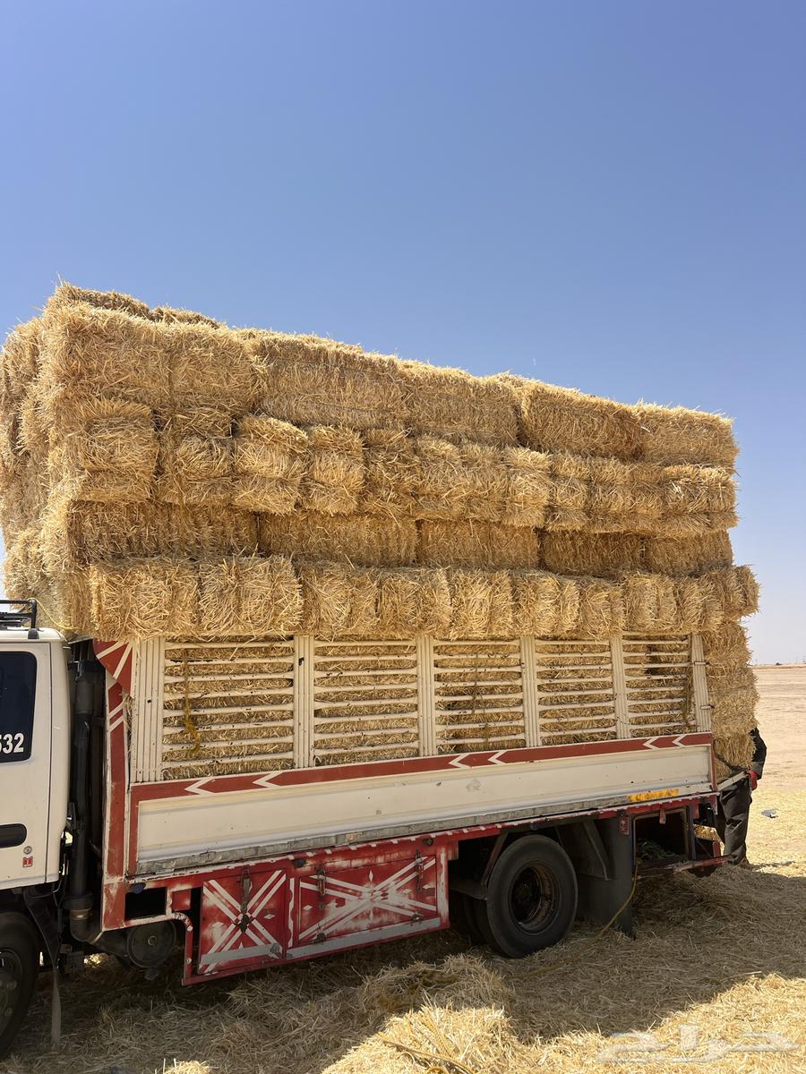 تبن بر صافي64415746776451110