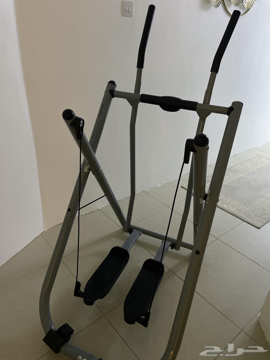 الغزال الطائر64416623842562111