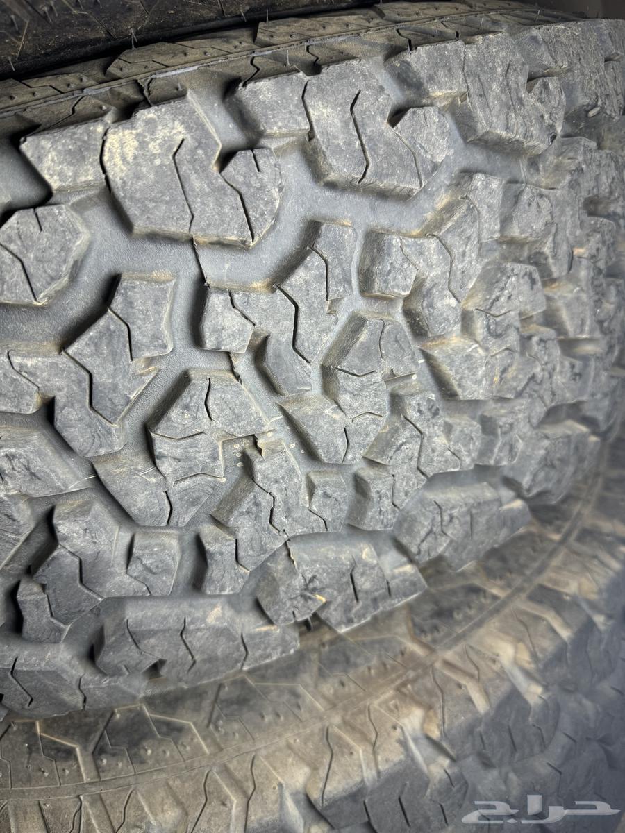 جنوط الحميد وماكسس بخطوطهن64569712575747113