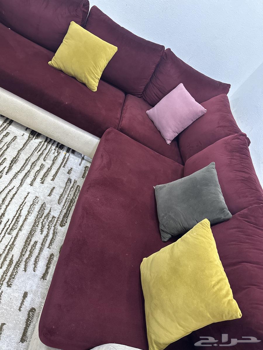 كنب صاله مع الموكيت وكنب مجلس رجال مع السجاد جميع المعروض با64415558834305110