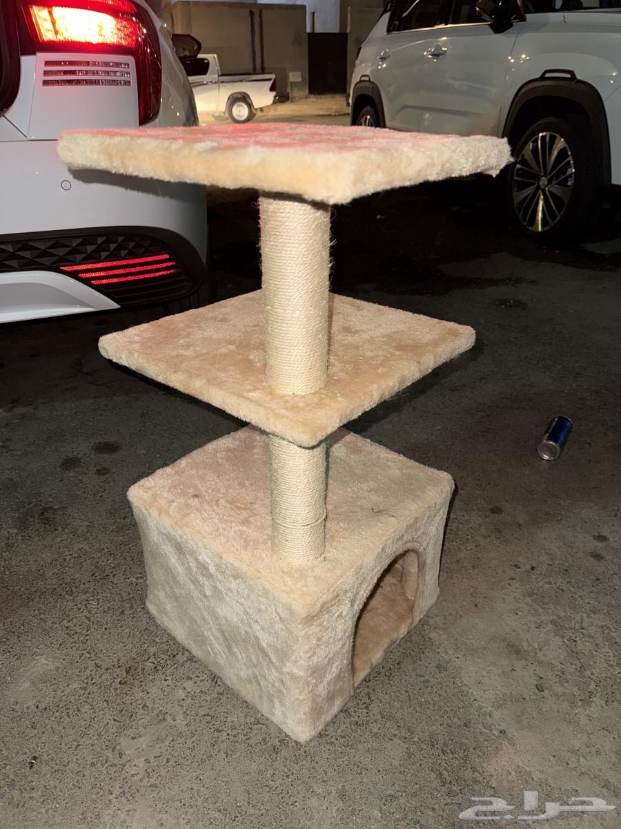 للبيع بيت بسس64418824465027112