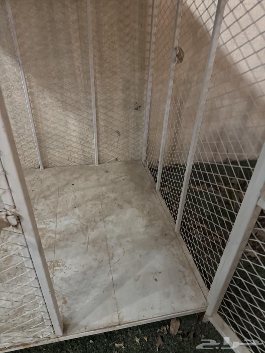 قفص حيوانات جديد ماستخدم64419158371202113