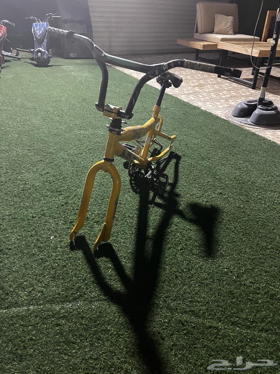 كوبرا صيني64418703348609112