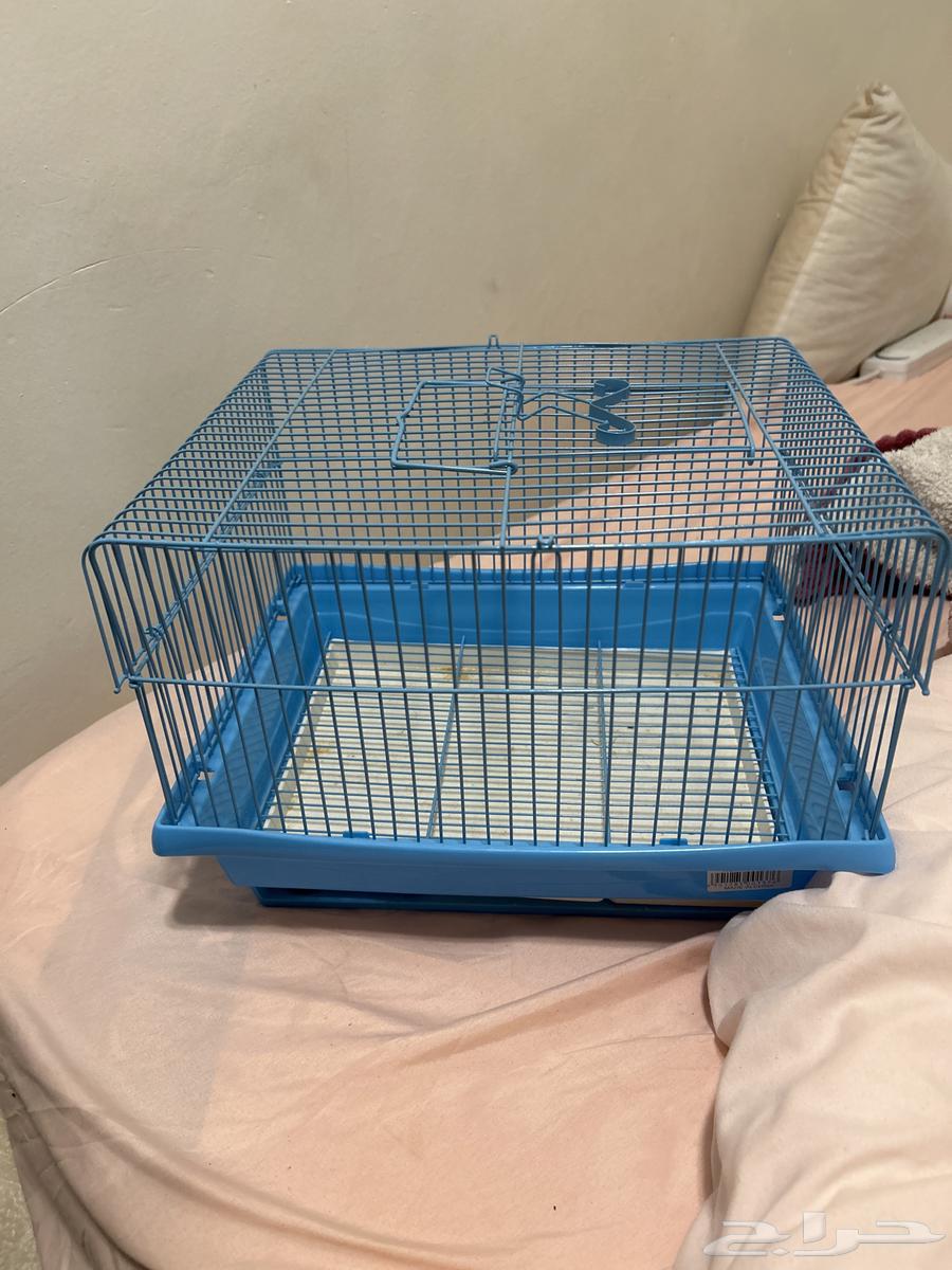 قفص هامستر جديد64412949986946110