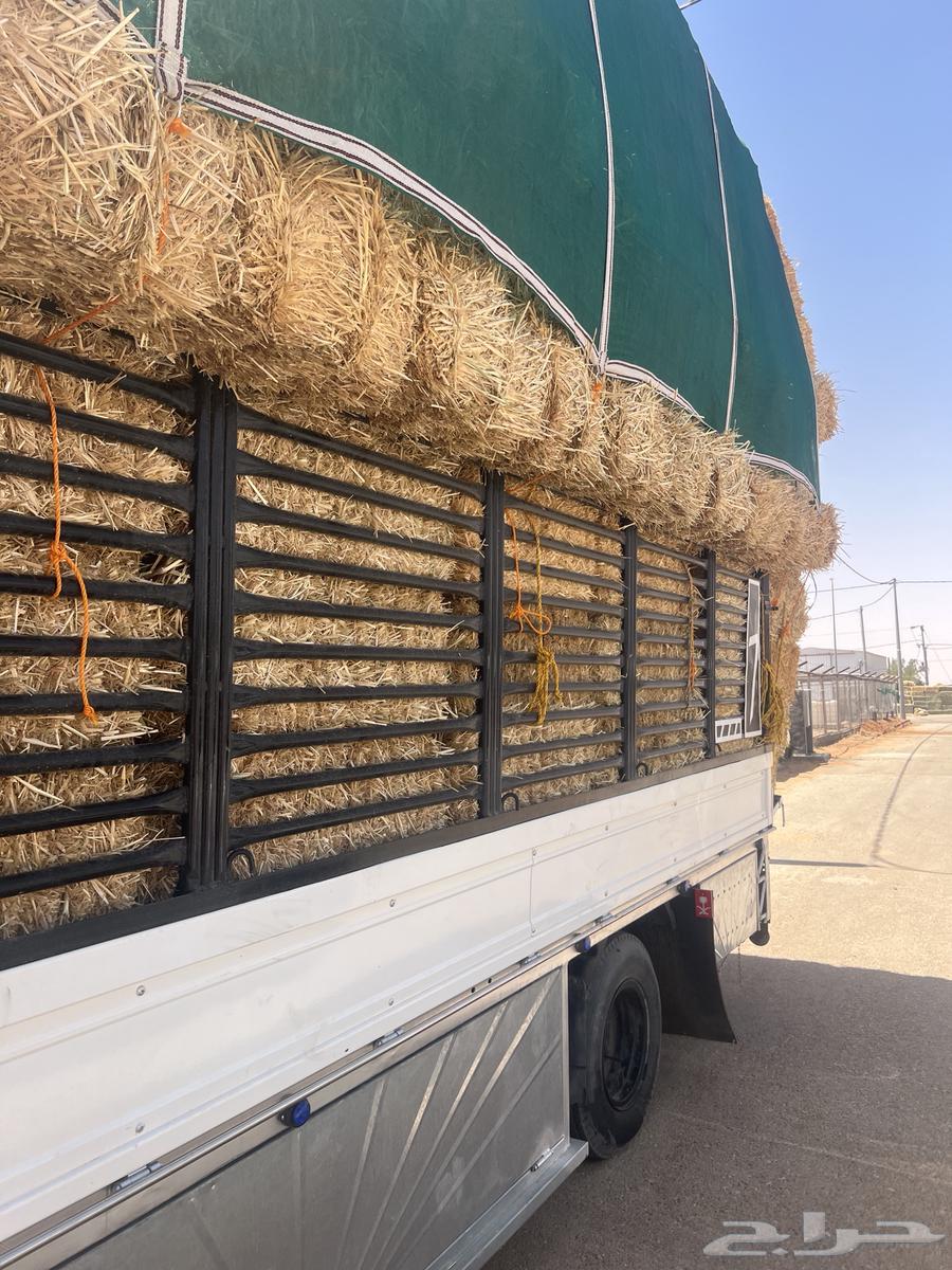 تبن بر64414368987523113