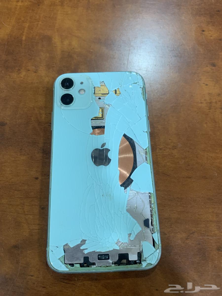 iPhone 11 Regular64416387241859111