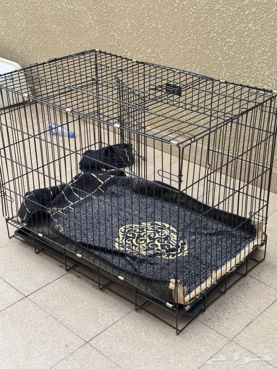 قفص للبيع شبه جديد64412346947458110