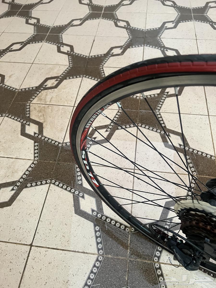 Trinx Tempo 1.064416254417410114