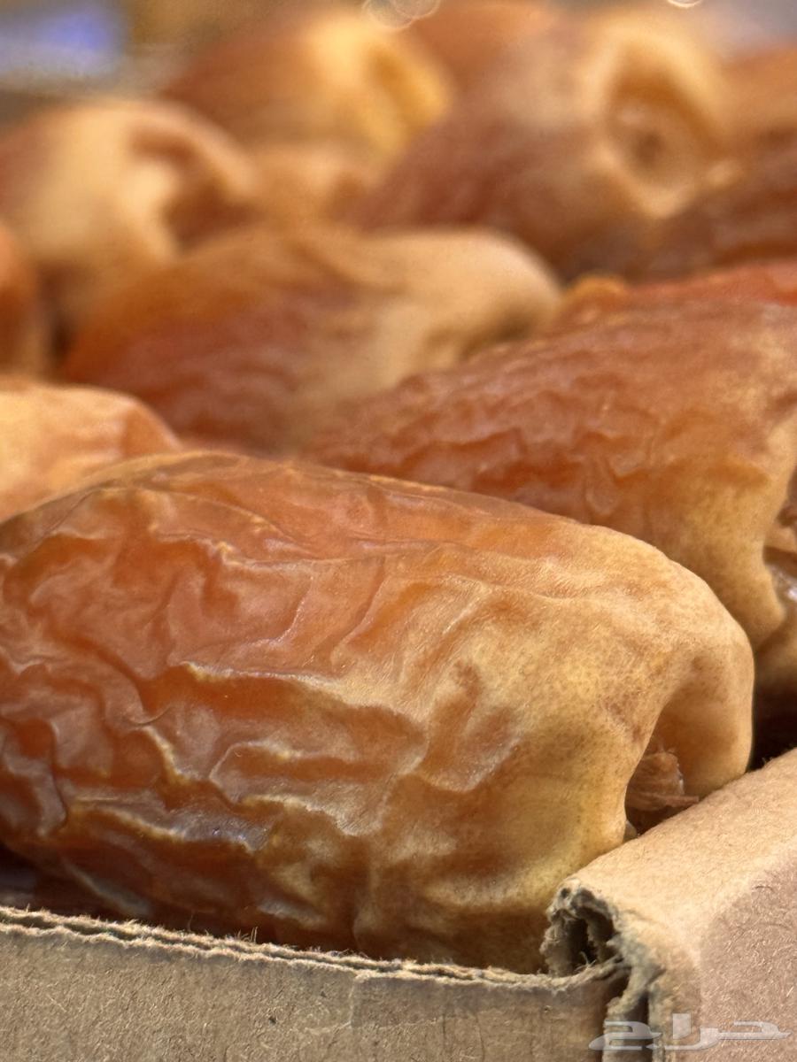 صقعي ملكي فاخر64413599629058112