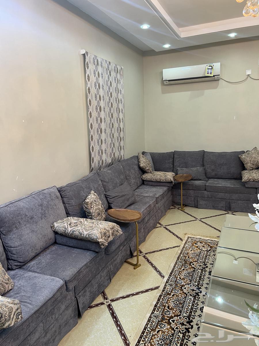 Sofa Council length 8 width 6.4864414726625026113