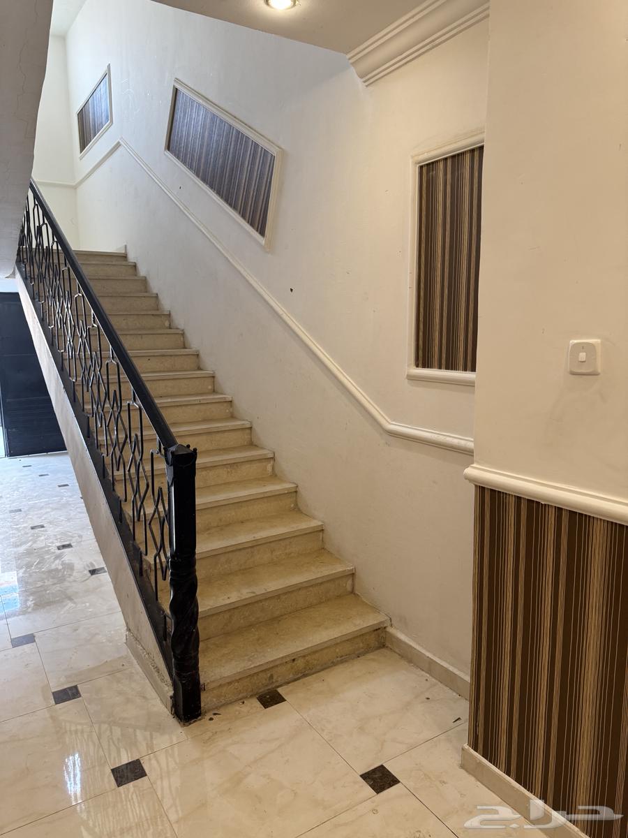 Furnished and unfurnished apartments for rent in Bisha64141831338114112
