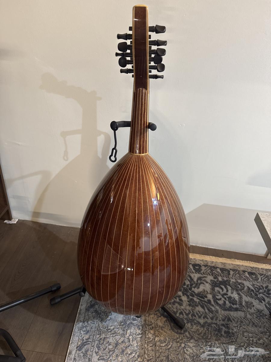 عود زرياب عراقي رقم 364415060907009111