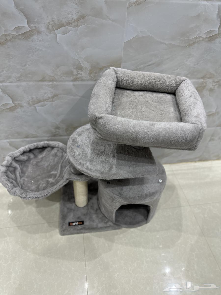 لوازم قطط سرير64419145038978113