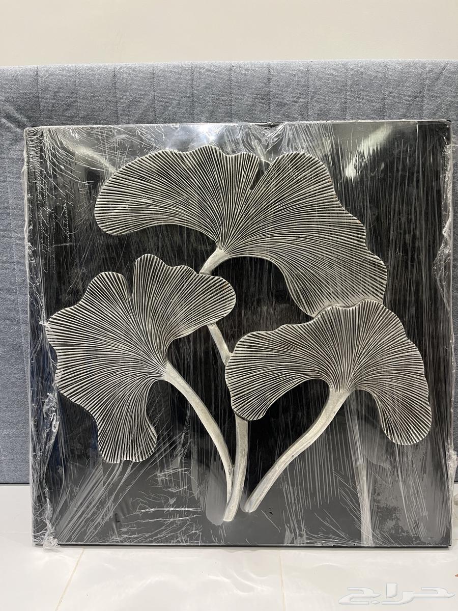 كنب جديد ولوحه وابجورات64415060938755114